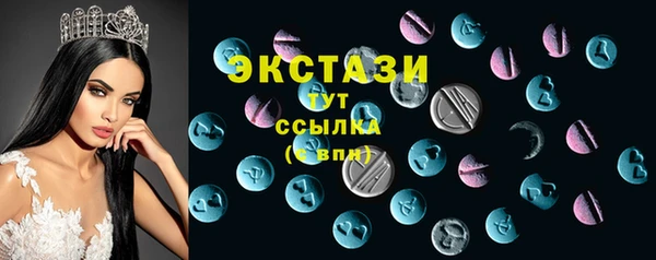 стаф Богданович