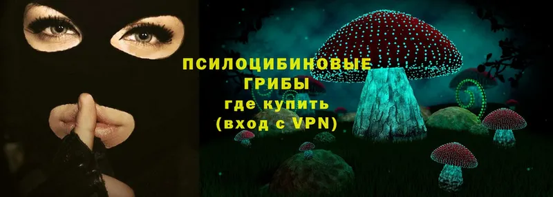 продажа наркотиков  Пугачёв  Галлюциногенные грибы прущие грибы 